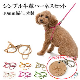 ハーネス 犬 小型犬 安全帯 中型犬 かわいい 抜けない 迷子札 革 レザー おしゃれ いぬ 猫 ねこ 名入れ メール便送料無料 シンプル革10mm幅ハーネスセット リード付き Sサイズ 【楽ギフ_包装】【楽ギフ_名入れ】