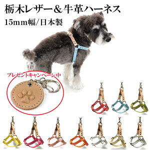 n[lX  ^ S ^ 킢 Ȃ qD v U[    [֑ {k/Ȗ؃U[15mmvn[lX M`LTCYyyMt_zyyMt_