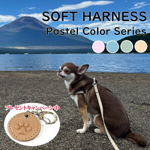 n[lX  ^ S ^ ^ 킢 Ȃ qD tFCNU[    \tgn[lX [֑ yyMt_zyyMt_z