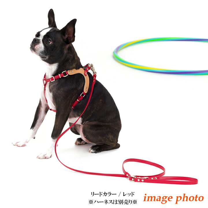 楽天市場 ハーネスリード 犬 小型犬 安全帯 中型犬 かわいい 抜けない 革 レザー おしゃれ いぬ メール便送料無料 ｓサイズ用ヌメ革10mm幅 ハーネス専用カフェタイプリード 楽ギフ 包装 犬首輪専門店 クリスタルポイント