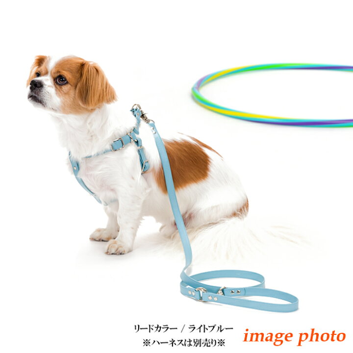 楽天市場 ハーネスリード 犬 小型犬 安全帯 中型犬 かわいい 抜けない 革 レザー おしゃれ いぬ メール便送料無料 ｍサイズ用ヌメ革15mm幅 ハーネス専用カフェタイプリード 楽ギフ 包装 犬首輪専門店 クリスタルポイント