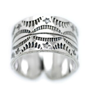 Vo[925 GXjbN O Y mh  t[TCY rbO (nhCh AeB[N H| `H|  傫  T}[ w Vo[ANZT[)