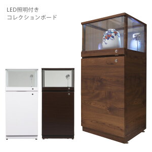 RNV{[h RNVP[X 55cm 123cm  LEDCgt LEDƖt Cgt RNV [ RNV{bNX KXP[X rO[ _[NuE u