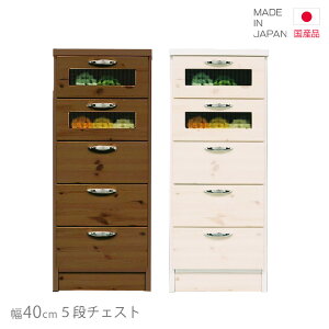 `FXg Y X { 40cm 100cm Iׂ2F [`FXg RpNg Jg[  k  ^X rO[ o[ [ o zCg  uE p