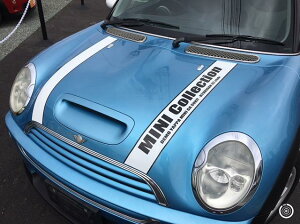 BMW MINI �~�j�N�[�p�[�ėp�{���l�b�g�����A�Q�[�g�@���C���X�e�b�J�[1�䕪-RYUKIGAN-