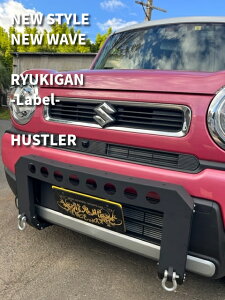 -RYUKIGAN 龍鬼眼- スズキ ハスラー 用 フロントガード