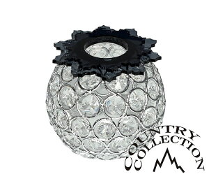 �J���g���[�R���N�V���� Goal Zero �����^�����C�g�p�N���X�^���V�F�[�h�J�o�[�iSILVER)