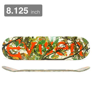 EVISEN DECK GrZ fbL TEAM TREECAMO LOGO 8.125 XP[g{[h XP{[