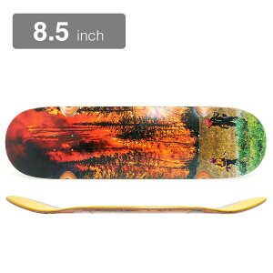 JACUZZI DECK WOW[ fbL JOHN DILO FIRE 8.5 WHEEL WELLS EPOXY 7 XP[g{[h XP{[