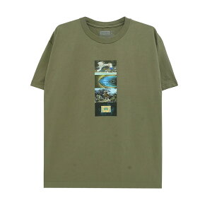THEORIES T-SHIRT �Z�I���[�Y T�V���c VIRTUAL REALITY FATIGUE GREEN �X�P�[�g�{�[�h �X�P�{�[