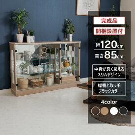 【期間限定ポイント3倍！〜11/16(日)23:59まで】 コレクションケース フィギュア棚 完成品 ダウンライト 幅120cm 高さ85cm ロータイプ ガラスケース ディスプレイ ぬい 推し ペンラ 開梱設置 アイリーン120L