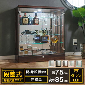 コレクションケース 段差式 幅75 led ダウン ライト 大型 鍵付き ロータイプ フィギュア ケース LED コレクションボード ガラス 収納 棚 ひな壇 ミニカー ガンプラ トミカ ショーケース ポケカ [