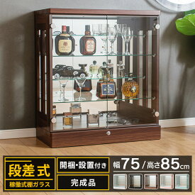 【500円OFFクーポン配布中！】6/11日1:59まで コレクションケース 段差式 幅75 大型 鍵付き ロータイプ フィギュア ケース コレクションボード ガラス 収納 棚 鏡面仕上げ ミニカー ガンプラ トミカ ショーケース ポケカ ひな壇 [アーク]