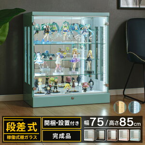 [1000~OFFN[|zzI]`12/11 1:59܂ RNVP[X tBMAP[X ^ i [^Cv 75 led Cg ECXL[I Kv t tBMA P[X RNV{[