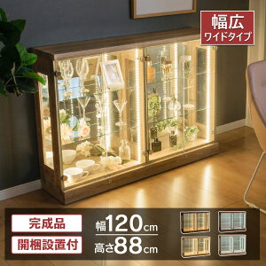 yԌ|Cg3{I`11/16()23:59܂Łz ECXL[I KX RNVP[X 120 [^Cv Ch led Cgt t tBMA [ KX RNV{[h tBM