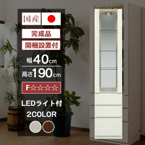 y500~OFFN[|zzI`11/11()1:59܂Łz Y RNV{[h LED Cgt 40cm ǖʎ[ nC^Cv RNVP[X KXP[X i V[P[X  LIP[X