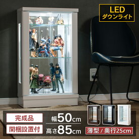 【最大1000円OFFクーポン配布中！～4/29まで】 コレクションケース LED ライト付き 幅50 ロータイプ 小型 コレクションボード ガラスケース ショーケース 収納ケース キュリオケース フィギュア ガンプラ ガラス ガラス棚 棚 収納 [フェリックス]