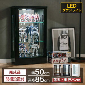 RNVP[X LED Cgt 50 [^Cv ^ RNV{[h KXP[X V[P[X [P[X LIP[X tBMA Kv KX KXI I [ [tF