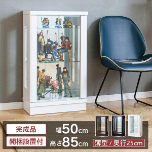 �y�ő�1500�~OFF�N�[�|���z�z���I�`12/26 1:59�܂Łz �R���N�V�����P�[�X ��50 ���[�^�C�v ���^ �R���N�V�����{�[�h �K���X�P�[�X �V���[�P�[�X ���[�P�[�X �L�����I�P�[�X �t�B�M���A �K���v�� 