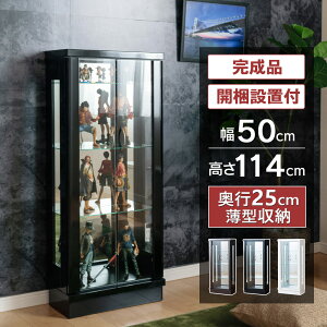 �y�|�C���g�ő�7�{�I�z12/13 10:00�`12/15 23:59�܂� �t�B�M���A �P�[�X �R���N�V�����P�[�X �����s�[�X ��50 ���^ �R���N�V�����{�[�h �K���X�P�[�X �V���[�P�[�X �L�����I�P�[�X ���[�P�[�X �K��