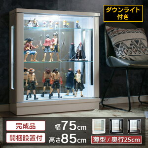 �t�B�M���A �P�[�X �t�B�M���A�I �R���N�V�����P�[�X �K���v�� LED ��75 ���[�^�C�v ���^ �R���N�V�����{�[�h �K���X�P�[�X �V���[�P�[�X ���[�P�[�X �t�B�M���A �K���X�I �I ���[ [�t�F���b