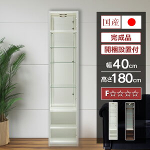 y500~OFFN[|zzI`11/11()1:59܂Łz Y RNV{[h LED Cgt 40cm ǖʎ[ nC^Cv RNVP[X KXP[X i V[P[X  LIP[X