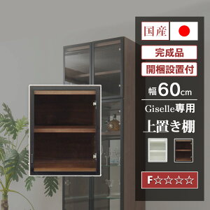 y500~OFFN[|zzI`11/11()1:59܂Łz Y RNVP[X u 40cm I[_[ ǖʎ[ RNV{[h KX i V[P[X  LIP[X [ [