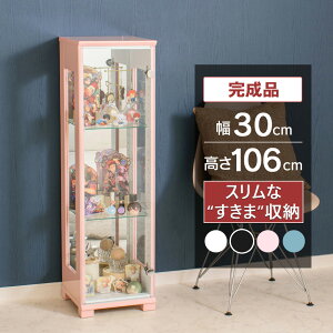 AEgbgi RNVP[X tBMAP[X 30cm RNV{[h i KXV[P[X ~h^Cv Lrlbg TCh{[h LIP[X X i z