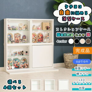 ^ RNVP[X 42cm [X4Zbg] tBMAP[X I^ i RNV {bNX ςݏdˉ\ t  KX RNV{bNX [ i mZ}Sn