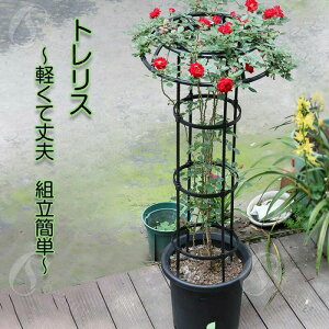 K[f RlNgtFX nC^Cv gX KN IxXN N}`X tFX O Ԓd  o gȒP HȂ  K[ftFX gXtFX K[fjO k