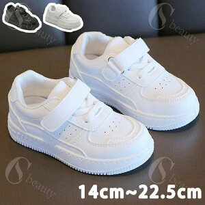 _XV[Y X|[c C  Xj[J[ LbY JWA V[Y q Cxg K n jp ^C i w