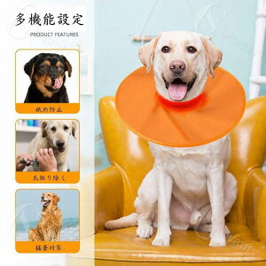  ^ GUxXJ[  GUxXJ[ GUxXJ[\tg  GUxXJ[ _炩 p rߖh~ Ck ^ ENA ^Ȃ \tg X|W Ib