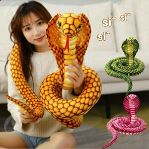  ւ ʂ LORu  AȎ  NbV u _炩 hbL rbN  G | ঒  Aj} ҏb i 