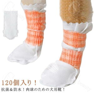 hbOu[c C y120z ʋC ~ pC Lp ĝ ̉h~ ی y120z y _炩 ^ ^ h ₷ y GȂ ₷ 