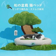 松の盆栽猫小屋 ペットベッド 猫ベッド 爪とぎポール オシャレ フワフワ 可愛い INS 人気新作 オシャレ …