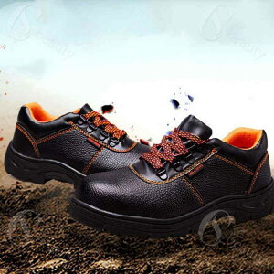 SCY fB[XKϖՃ[LOV[YObvh[N}