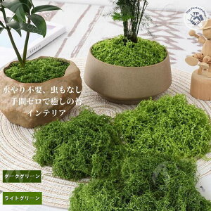 DIY|f zAlHۃ}bg tFCNO[ ~́EϗtAp plH lHX}bg ~j`A뉀EeEE