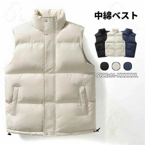 VV ~ lC AE^[  oR  hh y Ci[ H~ StEFA `bL  傫TCY 