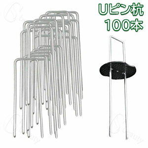 UsY us{ەt 10cm 100{ hV[g Œp lH s U^s }Y Y _Ɨplbg _ K[f K[fjO ƒ؉ pi p h V[g