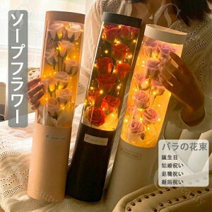 \[vt[ ԑ Mtg ̓ 2025 o  Cgt  v[g  j ސEj Vzj v ỏԑ a j