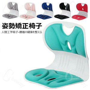 p ֎q 邾ɂȂȂNbV ItBX`FA/Q[`FA//֎qpNbV ՃT|[g`FA  ֎q y ^т₷ 100kg܂őΉ Kɂ₳