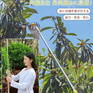 yRXpōzt[csbJ[ ʕ }؂΂ Lk } ʕ nc[ sbLOc[ ʕLb`[ y x[sbJ[ |p K[fjOc[ K[f