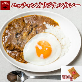 【送料無料】辛口 カレー 1人前 300g 牛肉カレー 牛肉 本格カレー 湯煎 レトルト 簡単 ユッチャンオリジナル 焼肉屋さんのカレー ハワイ オーナーも大絶賛の味 牛肉がゴロゴロ入った 日本限定メニュー 手作り レトルトカレー 簡単調理 冷凍 公式 空軍カレー