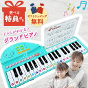 【ギフト 特典あり】名曲いっぱい グランドピアノ りょうてでひけるよ DVD ラッピング 無料 50曲をピアノ演奏できる 折り畳み式 音の出る絵本 電子ピアノ ミニピアノ 子供 幼児 おもちゃ オルガン オルゴール プレゼント 入園祝い 卒園祝い 入学祝い お誕生日 クリスマス 3才