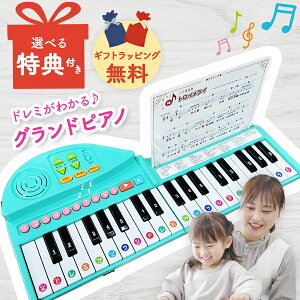 yMtg TzȂς OhsAm 傤ĂłЂ DVD bsO  50ȂsAmtł ܂ݎ ̏oG{ dqsAm ~jsAm q c  I