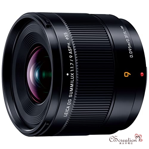 Panasonic LUMIX カメラレンズ 交換可能レンズ デジタル一眼カメラ用 H-X09
