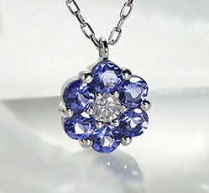 pt900 r[/^UiCg t[y_gyzyr[zy_CzyꗱzyRCPz