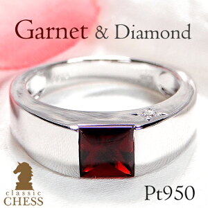 Pt950 XNGA J[Xg[ Oyzy萔zy󖳗zyiۏ؏tzv`iO lC  _ChO v`i otJbg w _C PT F