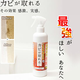 カビ取り カビが取れる 泡スプレー 300ml 高濃度【送料無料 】カビ取り剤 お風呂 パッキン 浴室 かび取り 壁紙 カビ かびとり ぬめり まな板 漂白 泡 壁 クロス ホワイト 天井 風呂 洗濯槽 黒カビ 排水溝 トイレ