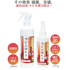 【送料無料】カビが取れる カビ取り 泡スプレー300ml + カビ取りジェル 170g カビ取り カビ取り剤 プロ仕様 最強 お風呂 天井 パッキン 浴室 かび取り カビ かびとり ハイター ぬめり まな板 漂白 壁 クロス 黒カビ 排水溝 トイレ あす楽